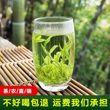 安吉白茶 2021年新茶雨前一级珍稀白茶茶叶春茶罐装正宗高山绿茶